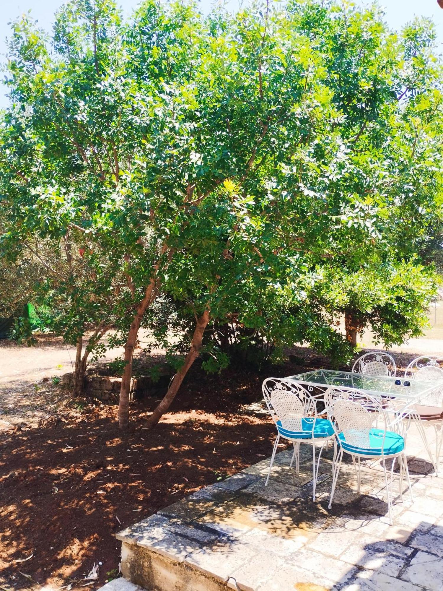 Ithaki Holidays Apartament