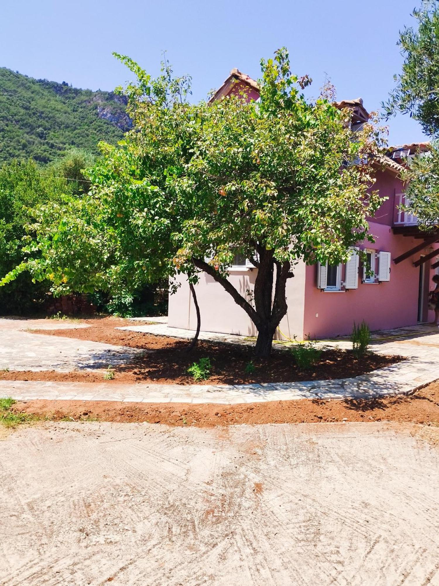 Ithaki Holidays Apartament *